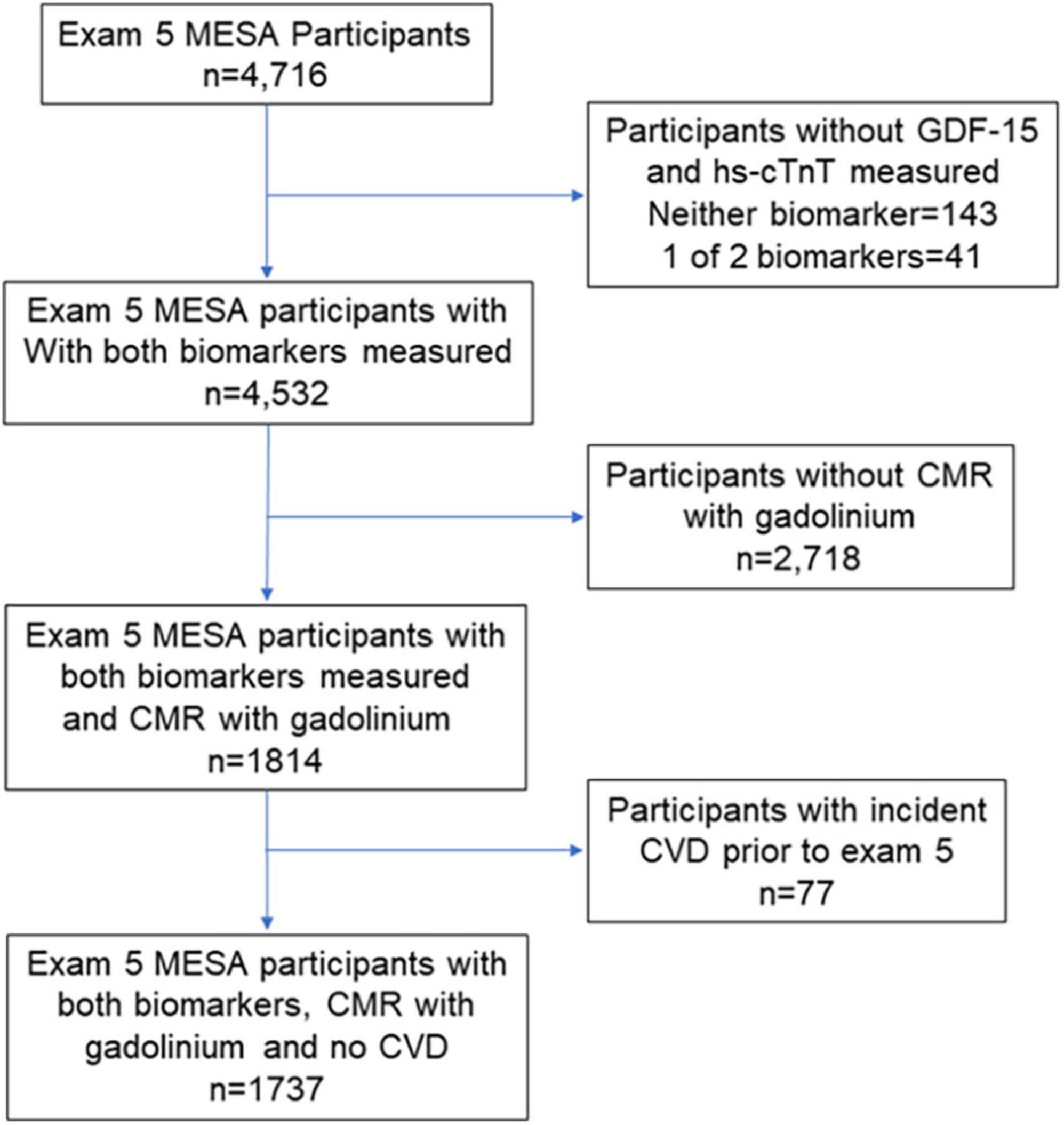 Association of cardiac troponin T and growth differentiation factor 15 with replacement and interstitial cardiac fibrosis in community dwelling adults: The multi-ethnic study of atherosclerosis